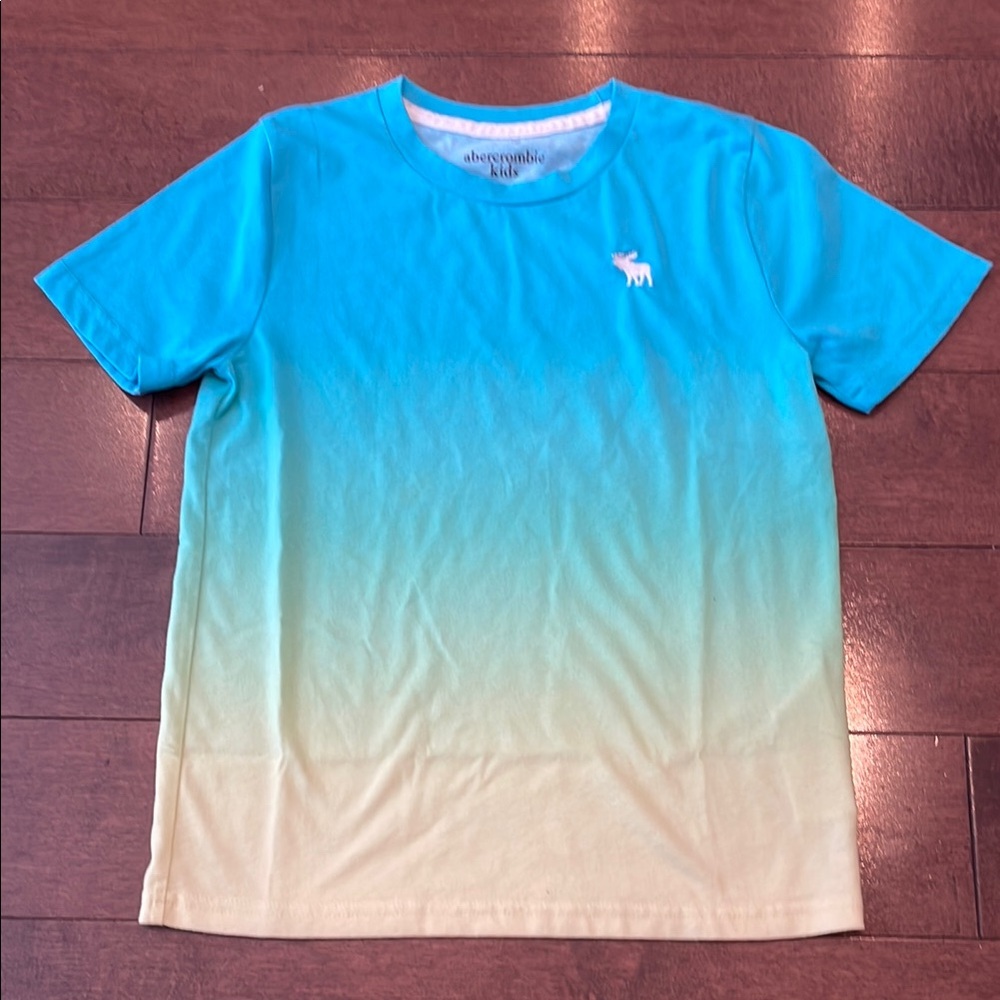 Abercrombie Kids Ombré T-Shirt